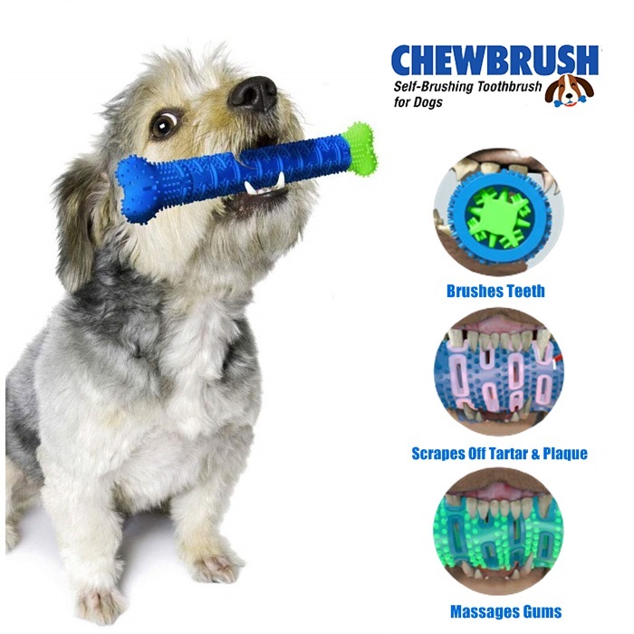Safe Dog Toothbrush Stick for Dogs Non-Toxic and Long-Lasting Dog Pet Chew Toys Natural Dental Care for Pet Puppies GADINO Dog Chew Toothbrush
