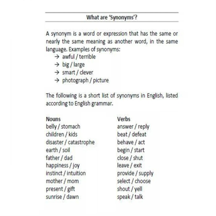 PlanIt Y6 SPaG Lesson Pack: Synonyms and Antonyms - English